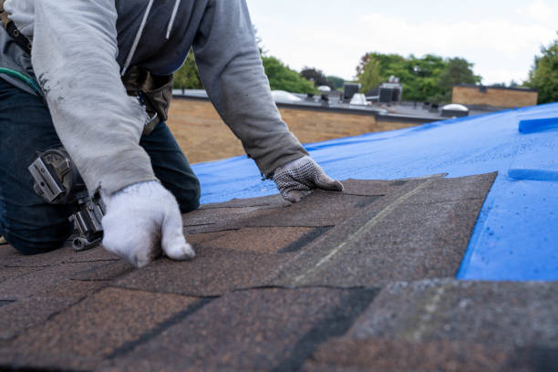 Best Metal Roofing Contractor  in Morris, OK